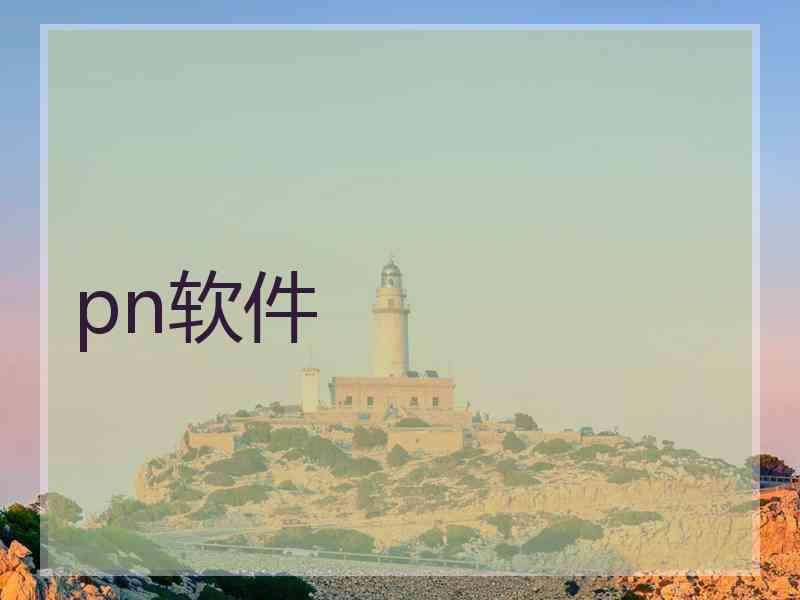 pn软件