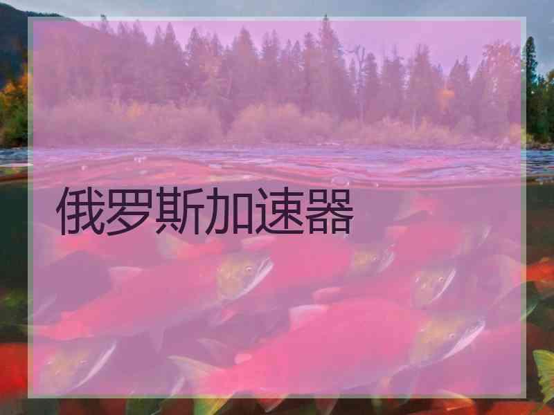 俄罗斯加速器
