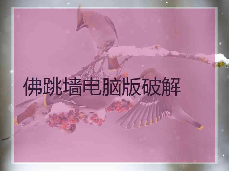 佛跳墙电脑版破解