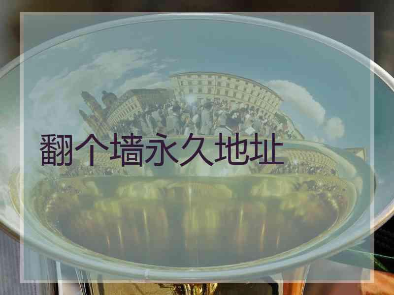 翻个墙永久地址