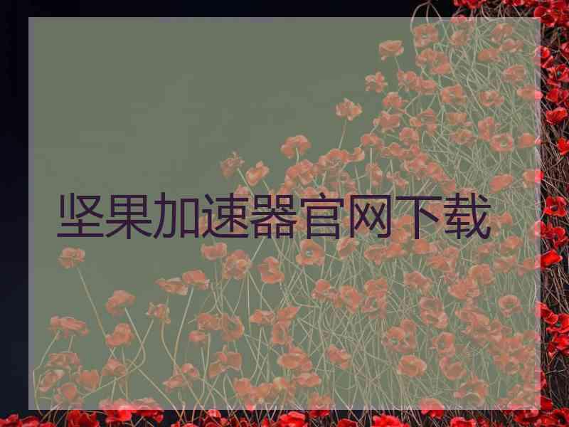 坚果加速器官网下载