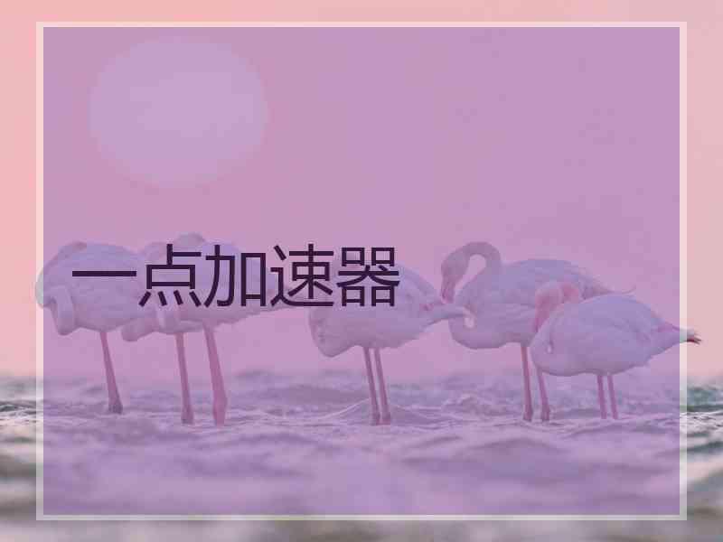 一点加速器