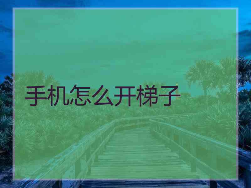 手机怎么开梯子