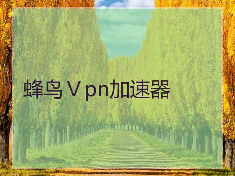 蜂鸟Ⅴpn加速器