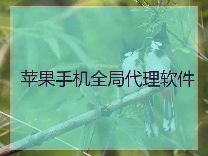 苹果手机全局代理软件