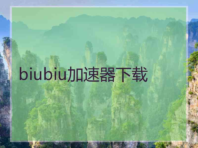 biubiu加速器下载