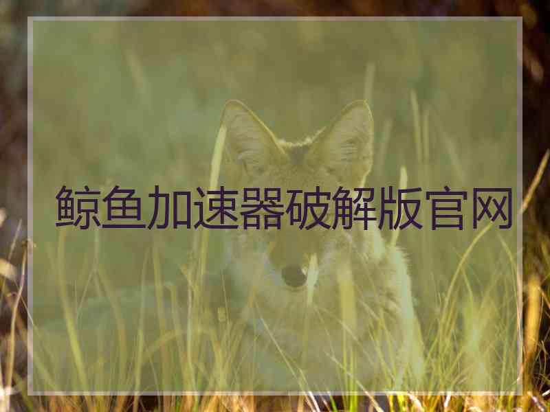 鲸鱼加速器破解版官网