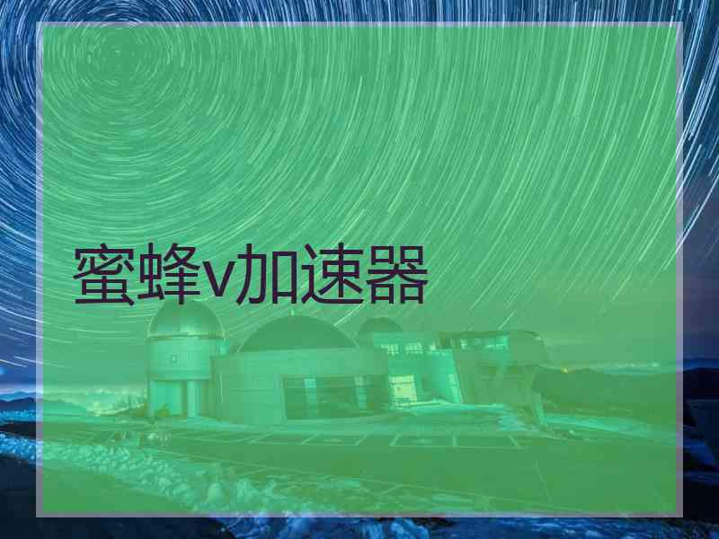 蜜蜂v加速器
