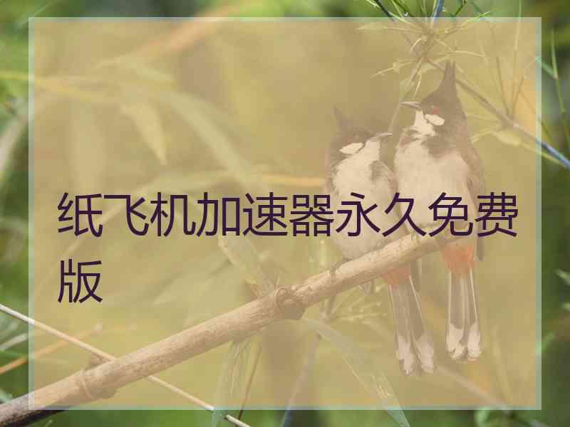 纸飞机加速器永久免费版