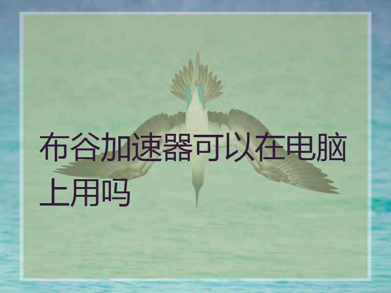 布谷加速器可以在电脑上用吗