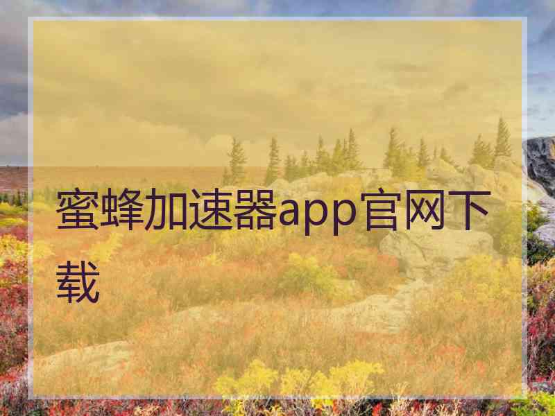 蜜蜂加速器app官网下载