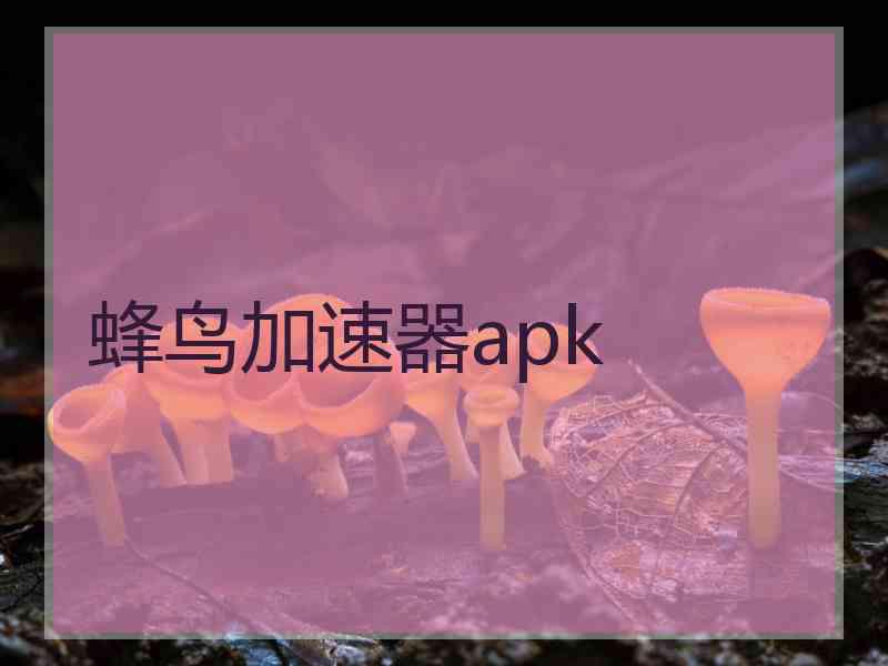 蜂鸟加速器apk