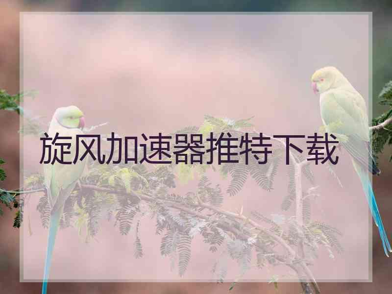 旋风加速器推特下载