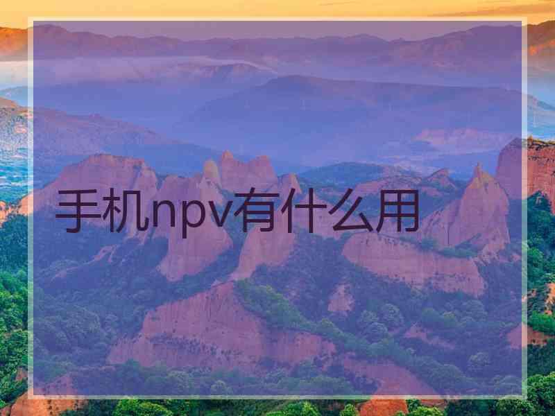 手机npv有什么用