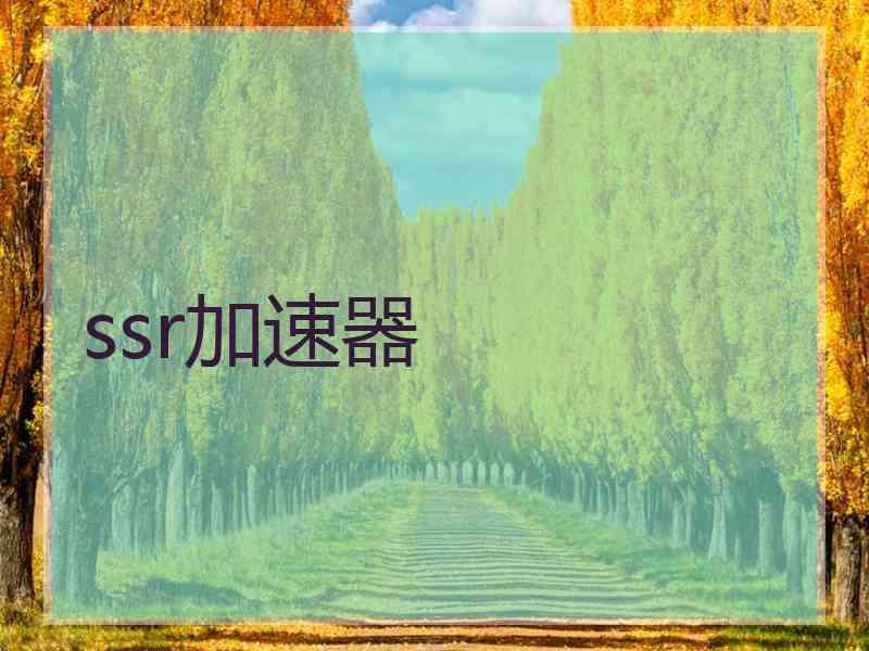 ssr加速器