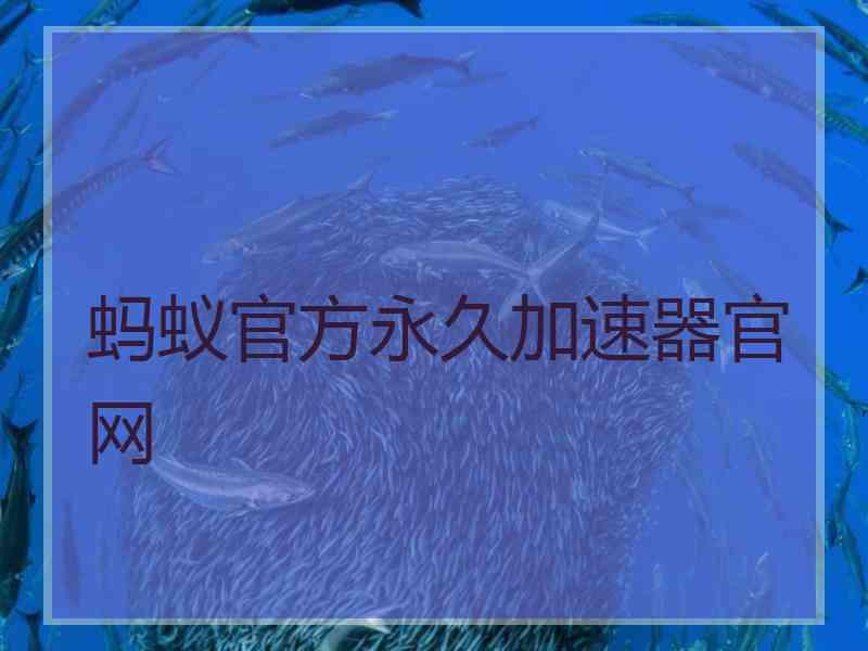 蚂蚁官方永久加速器官网
