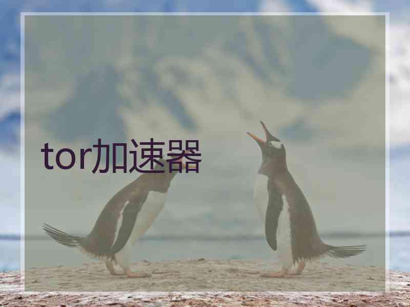 tor加速器