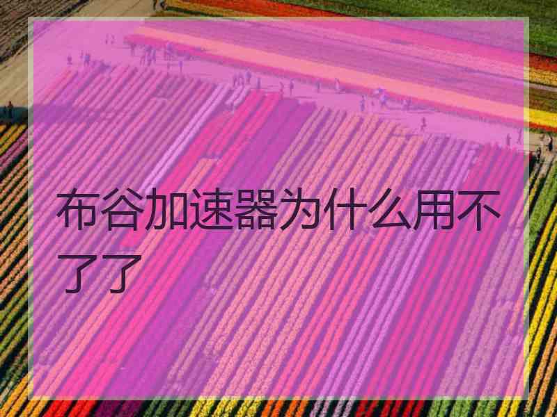 布谷加速器为什么用不了了