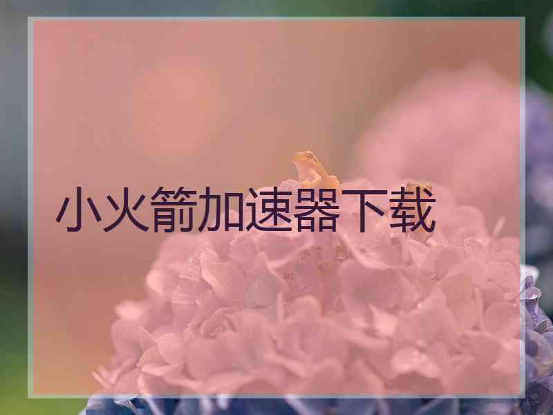 小火箭加速器下载
