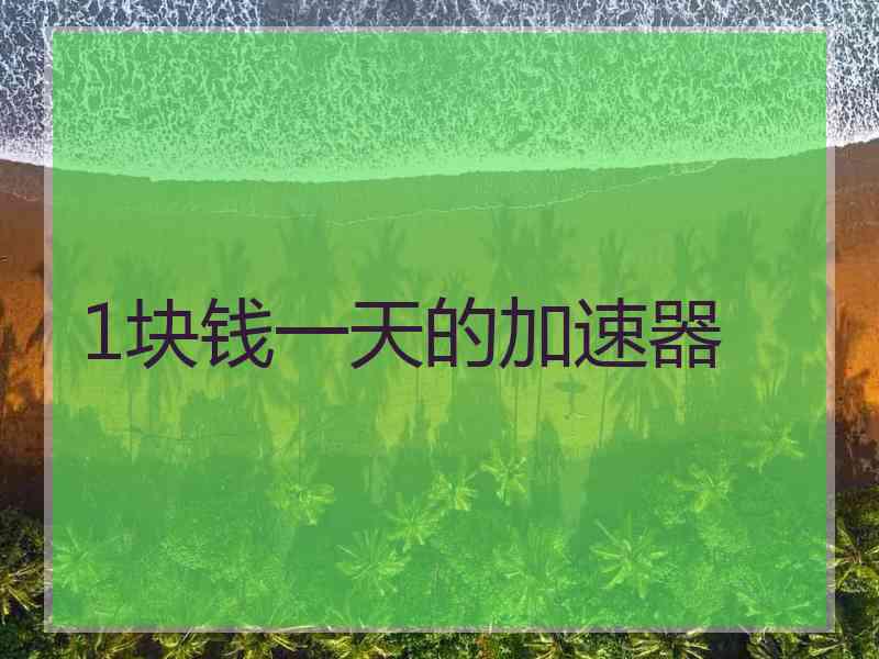 1块钱一天的加速器