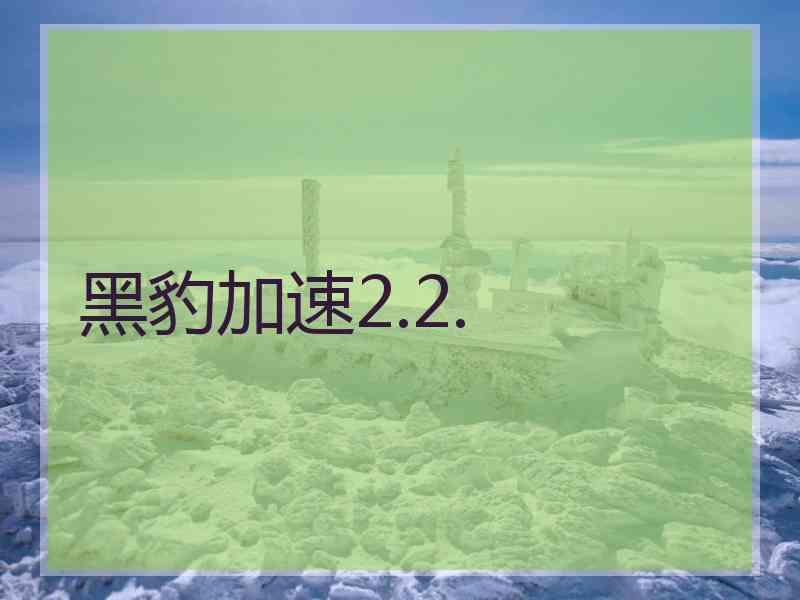 黑豹加速2.2.