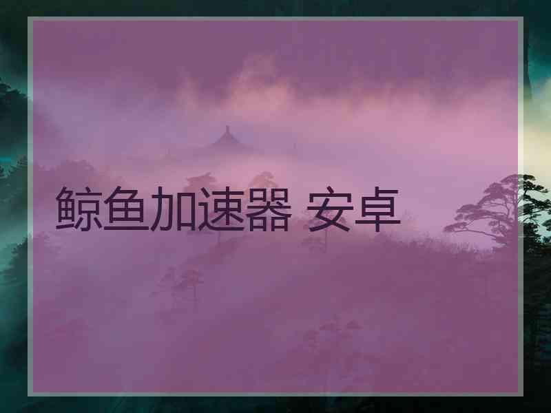 鲸鱼加速器 安卓