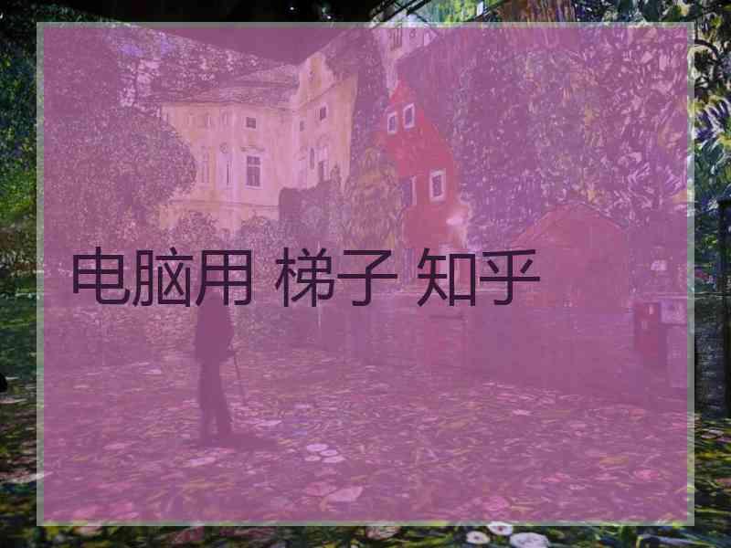 电脑用 梯子 知乎