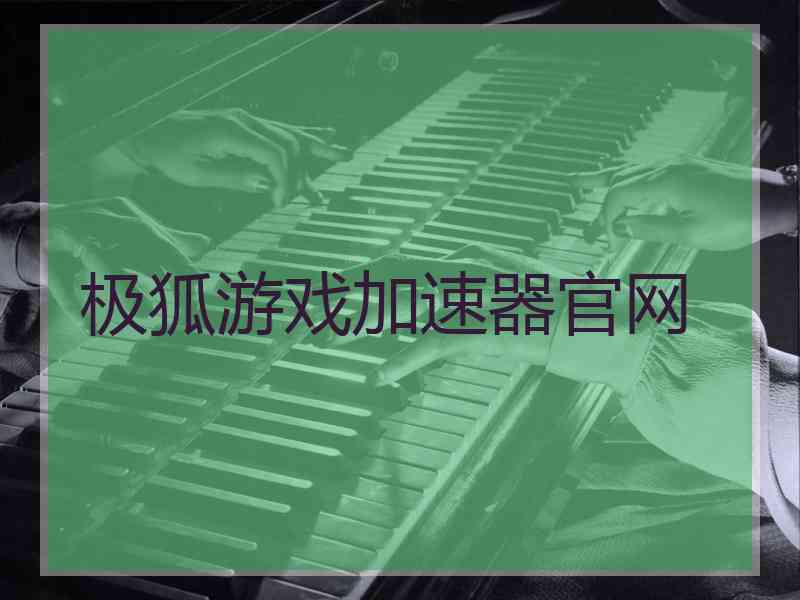 极狐游戏加速器官网