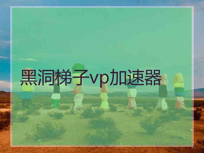 黑洞梯子vp加速器