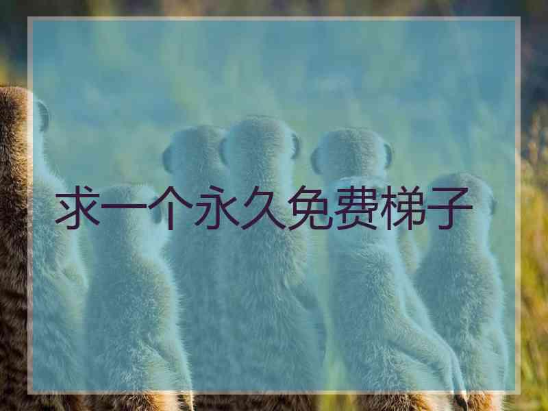 求一个永久免费梯子