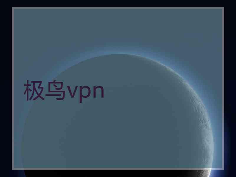 极鸟vpn