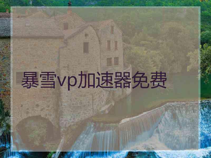 暴雪vp加速器免费