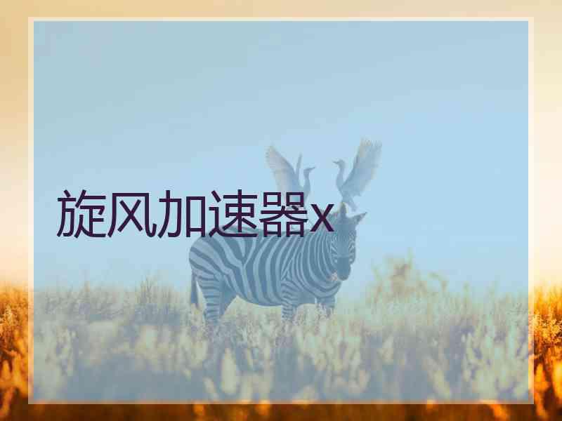 旋风加速器x