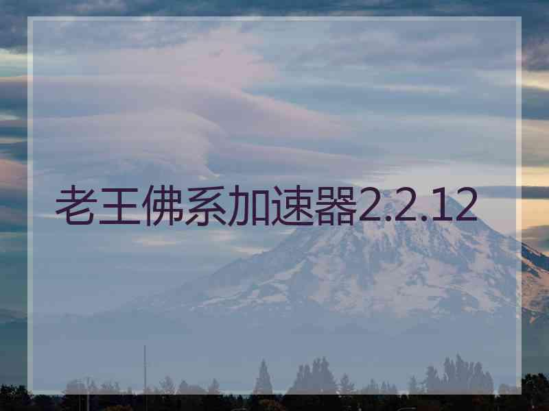 老王佛系加速器2.2.12