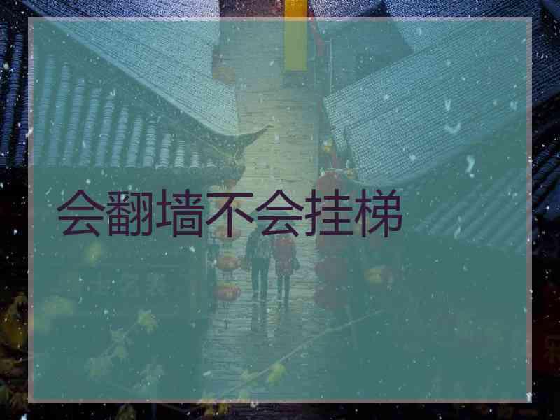 会翻墙不会挂梯
