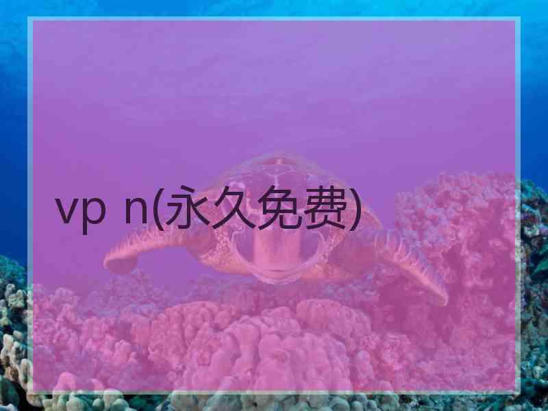 vp n(永久免费)
