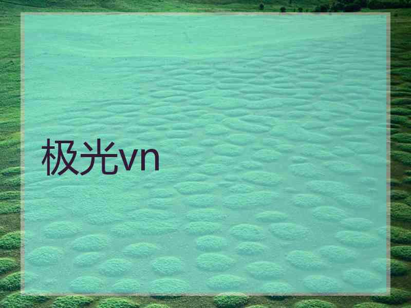 极光vn