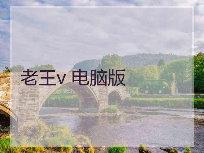 老王v 电脑版