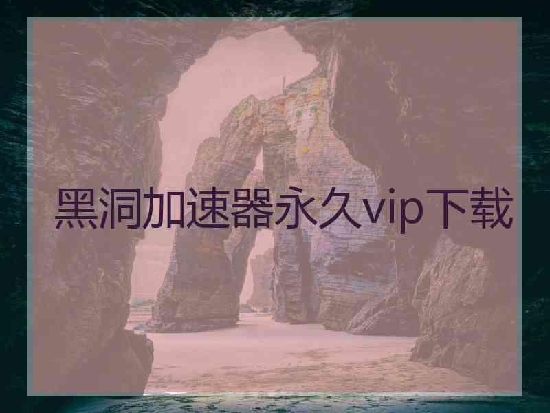 黑洞加速器永久vip下载