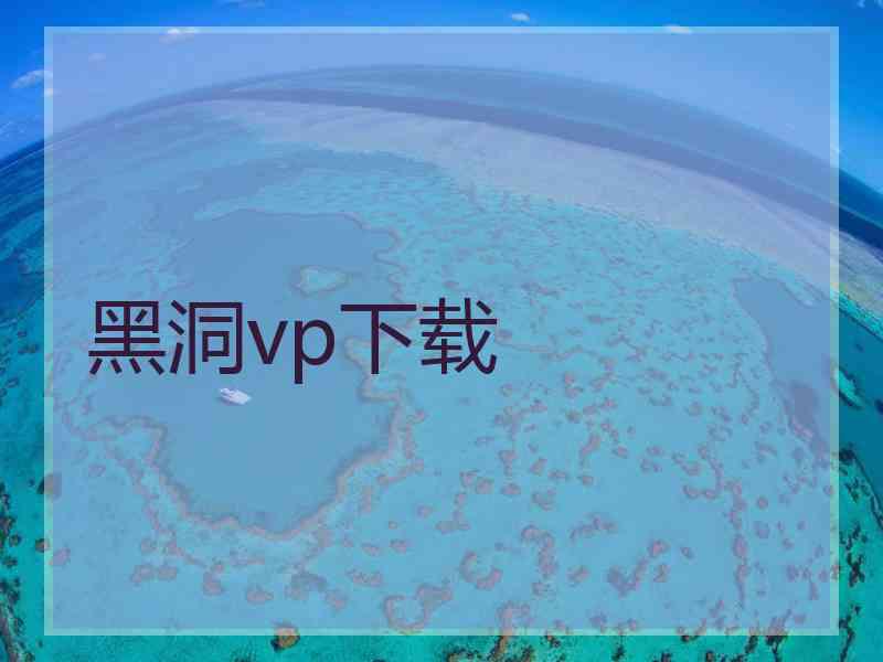 黑洞vp下载