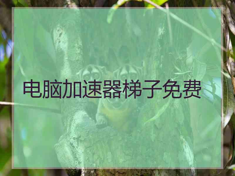 电脑加速器梯子免费