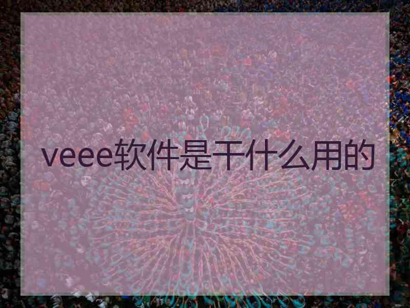 veee软件是干什么用的
