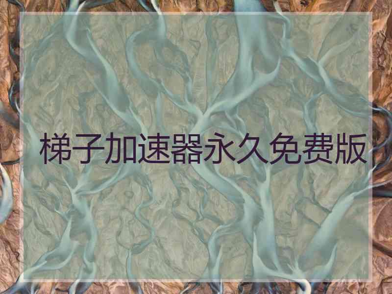 梯子加速器永久免费版