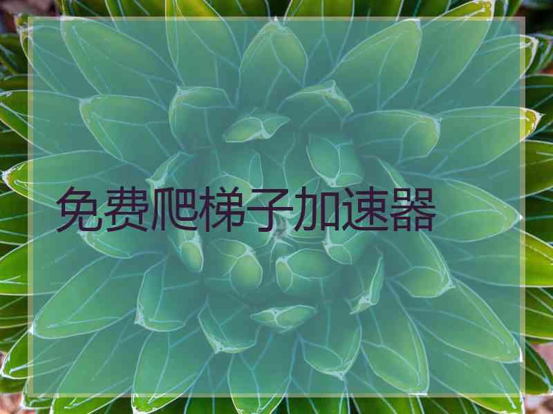 免费爬梯子加速器