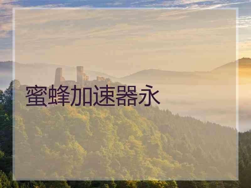 蜜蜂加速器永