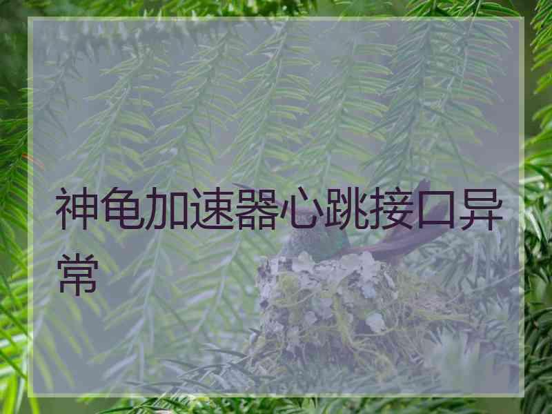 神龟加速器心跳接口异常