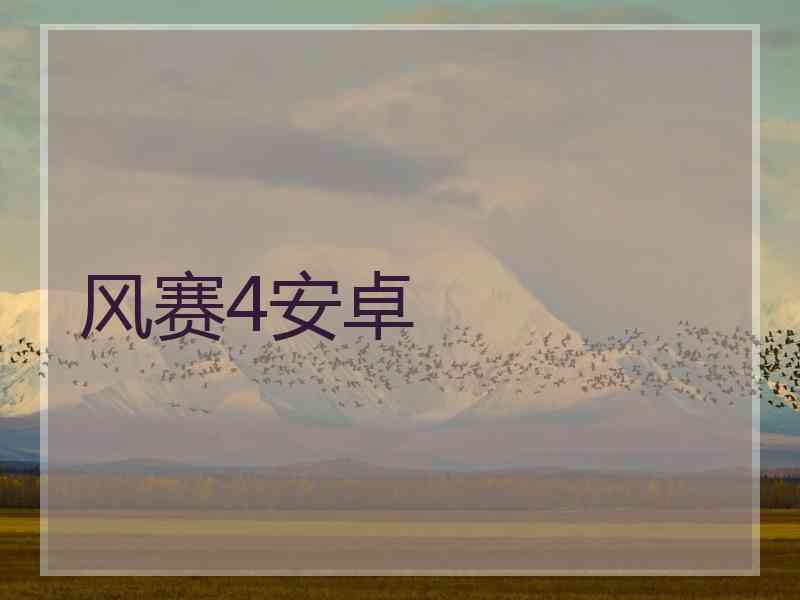 风赛4安卓