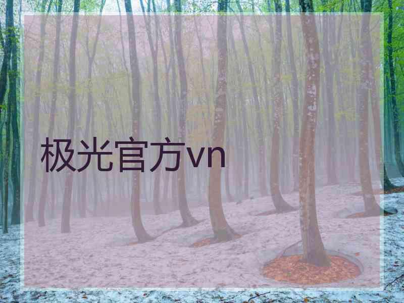 极光官方vn