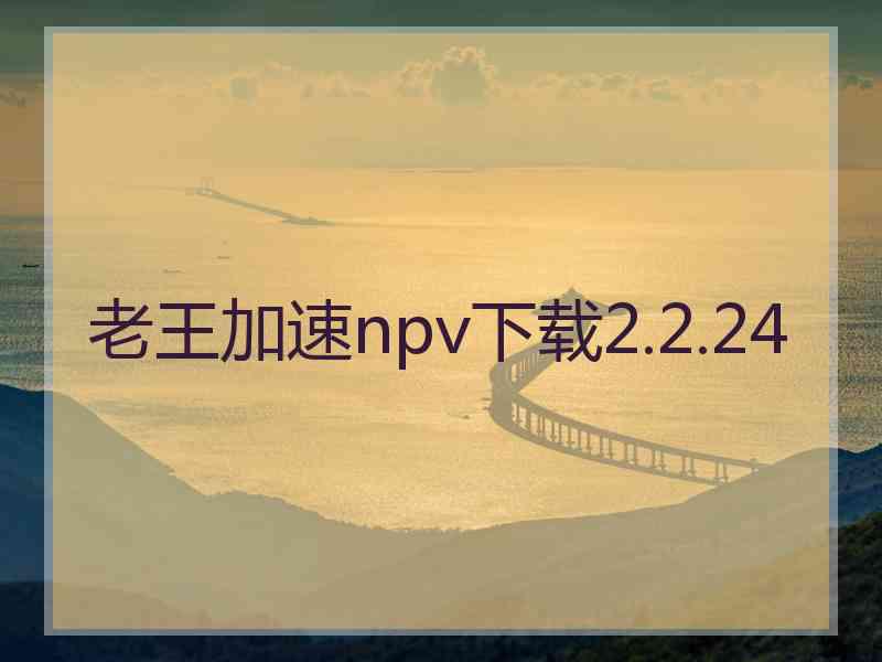 老王加速npv下载2.2.24