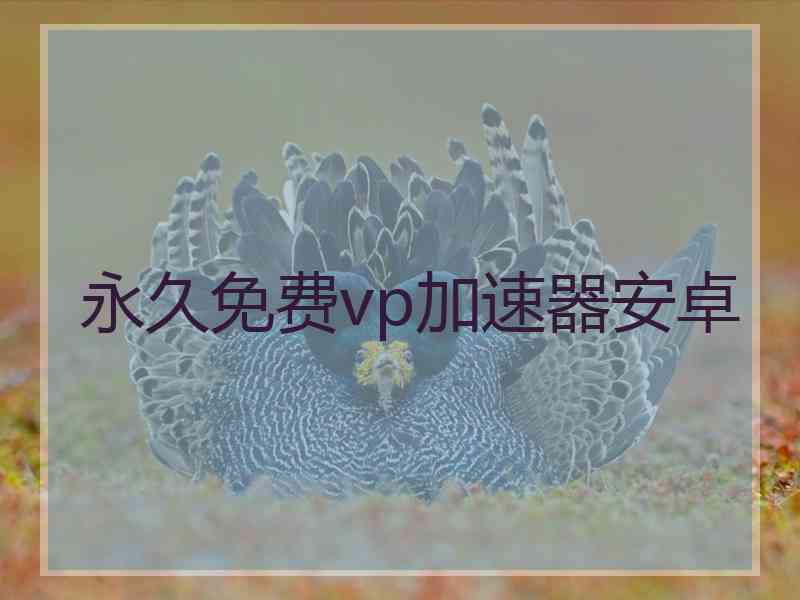 永久免费vp加速器安卓